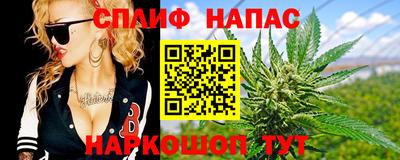 стаф Краснодар