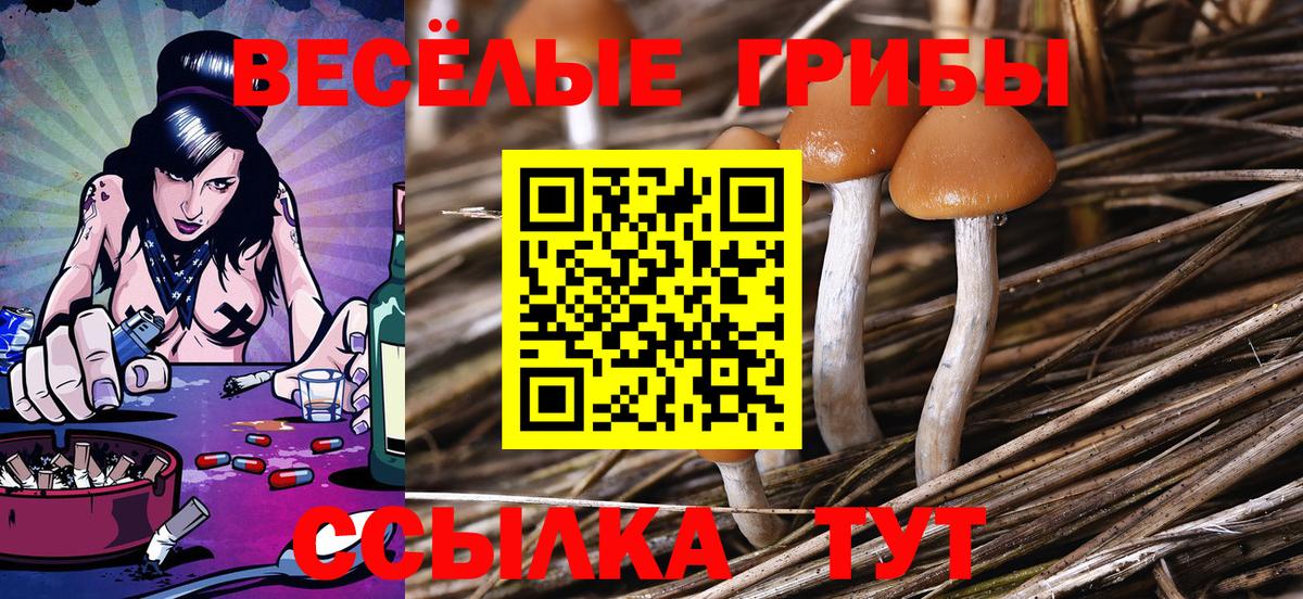 Галлюциногенные грибы Psilocybe  Вход с VPN  Кизилюрт  Псилоцибиновые грибы мухоморы 