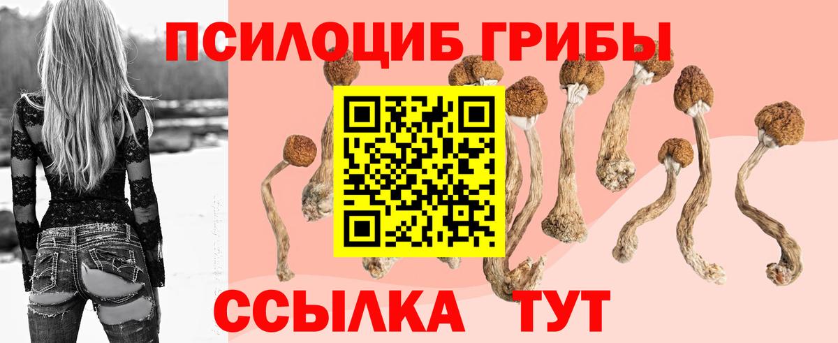 Галлюциногенные грибы Cubensis Кизилюрт